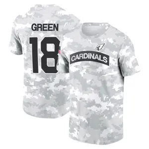 Men's A.J. Green Arizona Cardinals Arctic Camo 2024 Salute to Service Performance T-Shirt