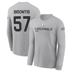Men's Chase Bisontis Arizona Cardinals Gray 2024 Salute to Service Long Sleeve T-Shirt