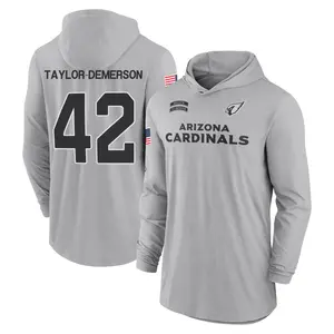 Men's Dadrion Taylor-Demerson Arizona Cardinals Gray 2024 Salute to Service Lightweight Performance Long Sleeve Hooded T-Shirt