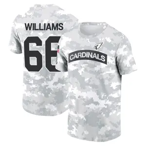 Men's Jayden Williams Arizona Cardinals Arctic Camo 2024 Salute to Service Performance T-Shirt
