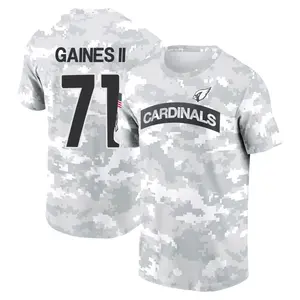 Men's Jon Gaines II Arizona Cardinals Arctic Camo 2024 Salute to Service Performance T-Shirt