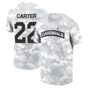Men's Michael Carter Arizona Cardinals Arctic Camo 2024 Salute to Service Performance T-Shirt