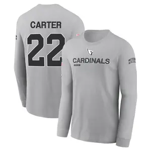 Men's Michael Carter Arizona Cardinals Gray 2024 Salute to Service Long Sleeve T-Shirt