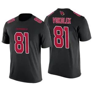 Men's Travis Vokolek Arizona Cardinals Black Color Rush Legend T-Shirt