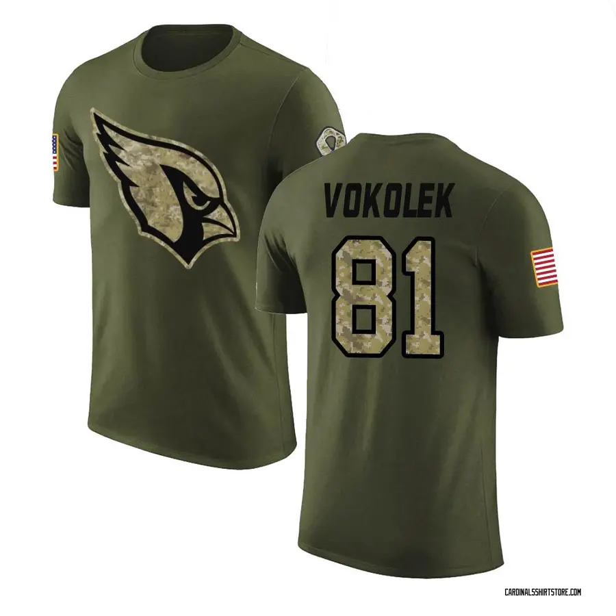 Men's Travis Vokolek Arizona Cardinals Olive Salute to Service Legend T-Shirt