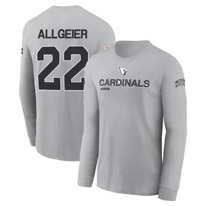 Men's Tyler Allgeier Arizona Cardinals Gray 2024 Salute to Service Long Sleeve T-Shirt