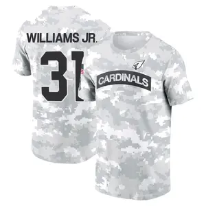 Men's Wydett Williams Jr. Arizona Cardinals Arctic Camo 2024 Salute to Service Performance T-Shirt