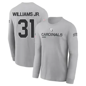 Men's Wydett Williams Jr. Arizona Cardinals Gray 2024 Salute to Service Long Sleeve T-Shirt