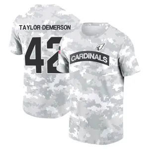Youth Dadrion Taylor-Demerson Arizona Cardinals Arctic Camo 2024 Salute to Service Performance T-Shirt