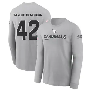 Youth Dadrion Taylor-Demerson Arizona Cardinals Gray 2024 Salute to Service Long Sleeve T-Shirt