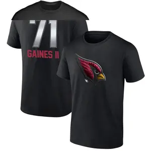 Youth Jon Gaines II Arizona Cardinals Midnight Mascot T-Shirt - Black