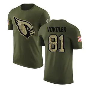 Youth Travis Vokolek Arizona Cardinals Olive Salute to Service Legend T-Shirt